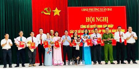 Phường Xuân Đài sắp xếp, tổ chức bộ máy các trường học
