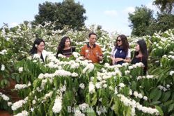 Cà phê kể chuyện trăm năm - Kỳ 3: Cà phê Buôn Ma Thuột - Ký ức làm nên miền di sản