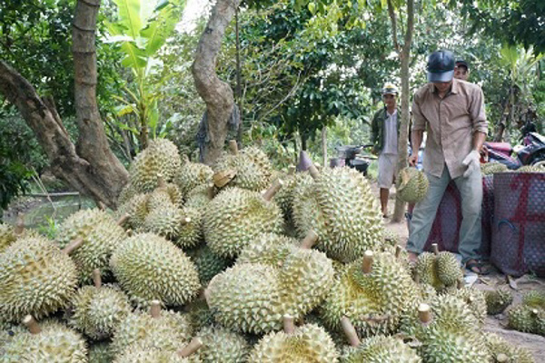 Ngành nông nghiệp phối hợp đồng bộ để đạt mục tiêu tăng trưởng