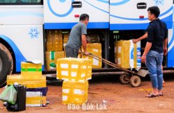 Xử lý nghiêm tình trạng xe khách chở hàng quá tải