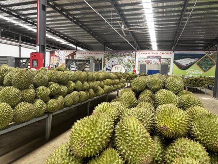 Xuất khẩu nông sản tăng tốc trong tháng 7, củng cố đà tăng trưởng cả năm