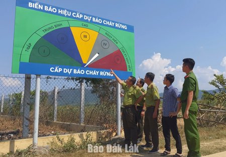 Chủ động phòng cháy, chữa cháy rừng