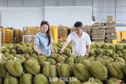 Bảo vệ thương hiệu từ mỗi mã số vùng trồng