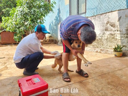 Quy định mới về xử phạt vi phạm hành chính trong lĩnh vực thú y
