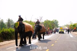 Vùng đất Voi... (Kỳ 1)