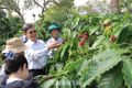 Bản đồ số nông sản Đắk Lắk: Giá trị không nằm ở “bản đồ” mà ở dữ liệu sống