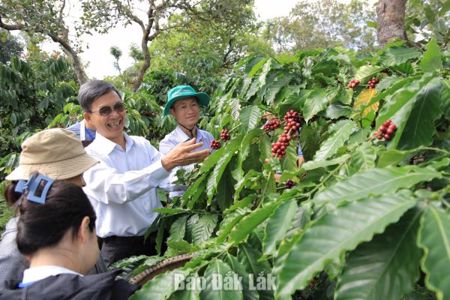 Bản đồ số nông sản Đắk Lắk: Giá trị không nằm ở “bản đồ” mà ở dữ liệu sống