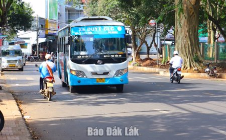 Đắk Lắk: Dừng khai thác hai tuyến xe buýt liên tỉnh từ ngày 31/8