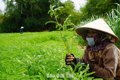 Hơn 219,6 tỷ đồng cho công tác giảm nghèo năm 2026