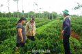Nghiên cứu khoa học: Từ đề án đến giá trị thực tiễn