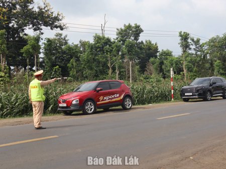 Sẵn sàng phương án bảo đảm an toàn giao thông Lễ hội Sầu riêng