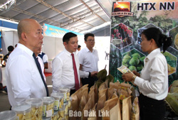 Đẩy mạnh xúc tiến thương mại, tiêu thụ, xuất khẩu sầu riêng