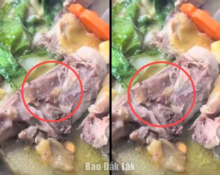 Cơ sở vi phạm an toàn thực phẩm tại xã Ea Ktur bị xử phạt 27 triệu đồng