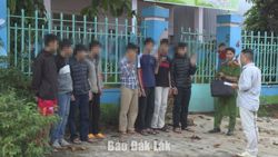 Làm rõ nhóm 8 thanh thiếu niên đột nhập ô tô trộm cắp tài sản