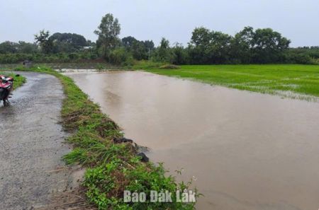 Cảnh báo mưa lớn, biển động trong những ngày tới