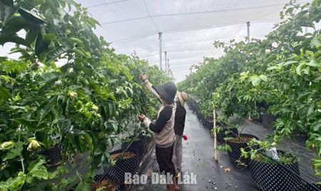 Ứng dụng công nghệ, nâng sức cạnh tranh