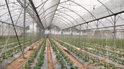 Nghị định mới về EPR: Cú hích cho kinh tế tuần hoàn trong nông nghiệp