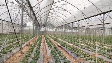 Nghị định mới về EPR: Cú hích cho kinh tế tuần hoàn trong nông nghiệp