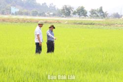 Xã Dur Kmăl: Triển khai hiệu quả công tác giảm nghèo