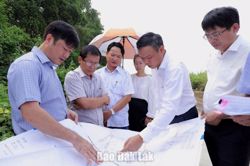 Phó Chủ tịch UBND tỉnh Đào Mỹ kiểm tra Cụm công nghiệp Ea Lê