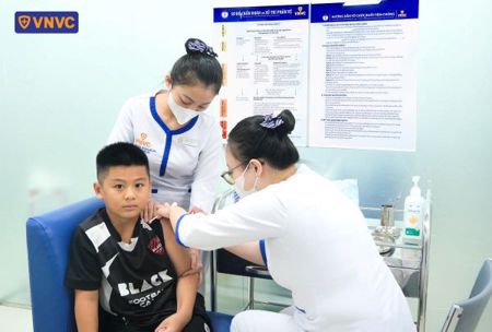 Chủ động tiêm phòng dại ngay sau khi bị chó, mèo cắn