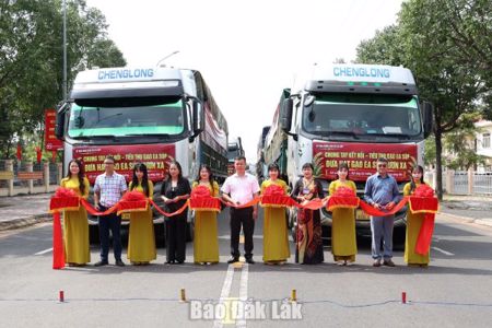 Xã Ea Súp: Giao dịch thành công 850 tấn gạo đặc sản sau phiên livestream