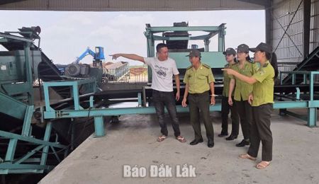 Tăng cường kiểm tra, đưa hoạt động lâm sản vào nền nếp