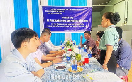 Đổi mới công nghệ chế biến sản phẩm mắc ca