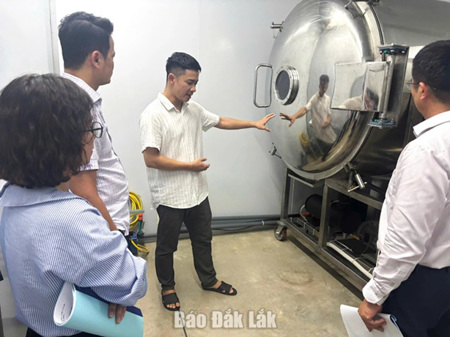Hỗ trợ ứng dụng thiết bị tiên tiến trong chế biến quả bơ