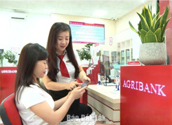 Agribank Chi nhánh Đắk Lắk: Đẩy mạnh phát triển hệ sinh thái tài chính số