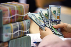 Lãi suất ngày 24/9/2026: Nền tảng tài chính chào mời 14%/năm, ngân hàng tăng nhẹ