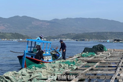 Chủ động ứng phó mưa bão trong mọi tình huống