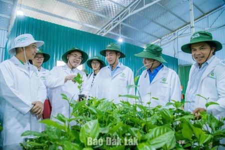 Từ nông nghiệp công nghệ cao đến hệ sinh thái phát triển mới