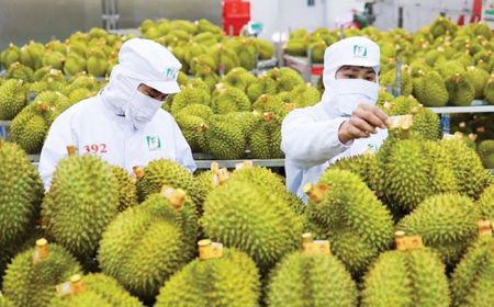 Xuất khẩu nông, lâm, thủy sản đạt gần 49,3 tỷ USD