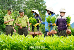 11/13 cơ sở sản xuất, kinh doanh giống cây lâm nghiệp bảo đảm chất lượng