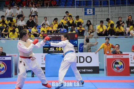 Thể thao thành tích cao Đắk Lắk đoạt 395 huy chương các loại