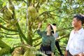 Thường trực Đảng ủy xã Tam Giang khảo sát các mô hình kinh tế tiêu biểu 