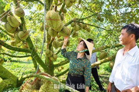 Thường trực Đảng ủy xã Tam Giang khảo sát các mô hình kinh tế tiêu biểu 