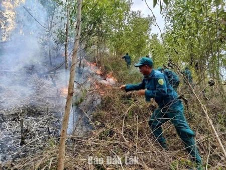 Tăng năng lực phòng cháy rừng trước thời tiết cực đoan