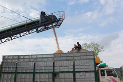 Cập nhật mã số thuế kịp thời cho người nộp thuế