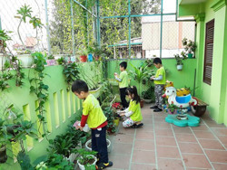 Chương trình giáo dục phổ thông mới: Tăng cường hướng nghiệp cho học sinh