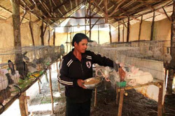 Những người không cam chịu đói nghèo