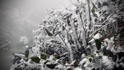 Cuối tuần, miền Bắc lại đón đợt rét đậm, rét hại