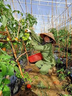 Đồng hành với doanh nghiệp nâng cao năng suất, chất lượng sản phẩm