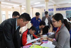 Tư vấn việc làm và nghề nghiệp cho 37.000 lượt người