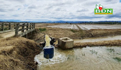 Đồng ruộng vẫn cạn khô nước dù mới có công trình thủy lợi chống hạn hán