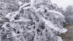 Cuối tuần miền Bắc đón đợt rét đậm mới, khả năng xảy ra mưa tuyết