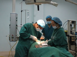 Thông tuyến tỉnh bảo hiểm y tế: Mở rộng quyền lợi cho người tham gia