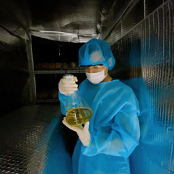 Khởi nghiệp với nấm đông trùng hạ thảo