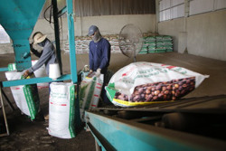 Huyện Krông Búk: Thu ngân sách năm 2020 đạt 144% kế hoạch